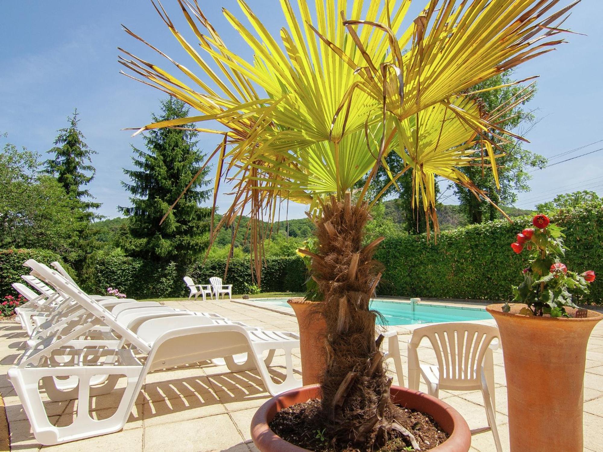 Appealing Apartment In Vezac With Swimming Pool Beynac-et-Cazenac Kültér fotó